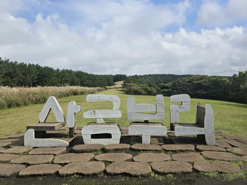 [서귀포 성산] 웰컴투삼달리 촬영마을 펜션형 투룸 독채(잔디마당) 52