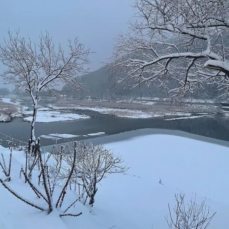 [Yangpyeong] 300-pyeong private house in front of a stream 46