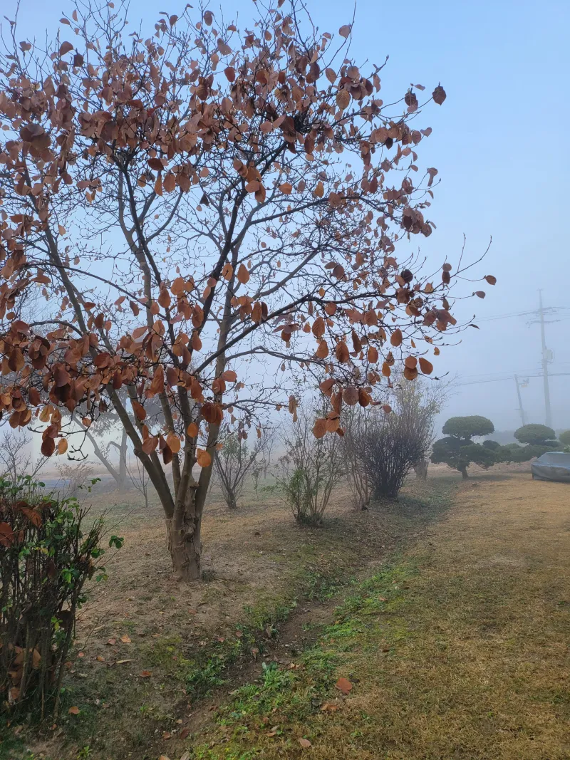 [충북 충주] 마실길11 29