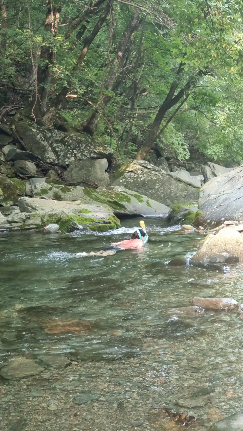 [Pyeongchang][Pyeongchang, Gangwon Province] Detached country house 14