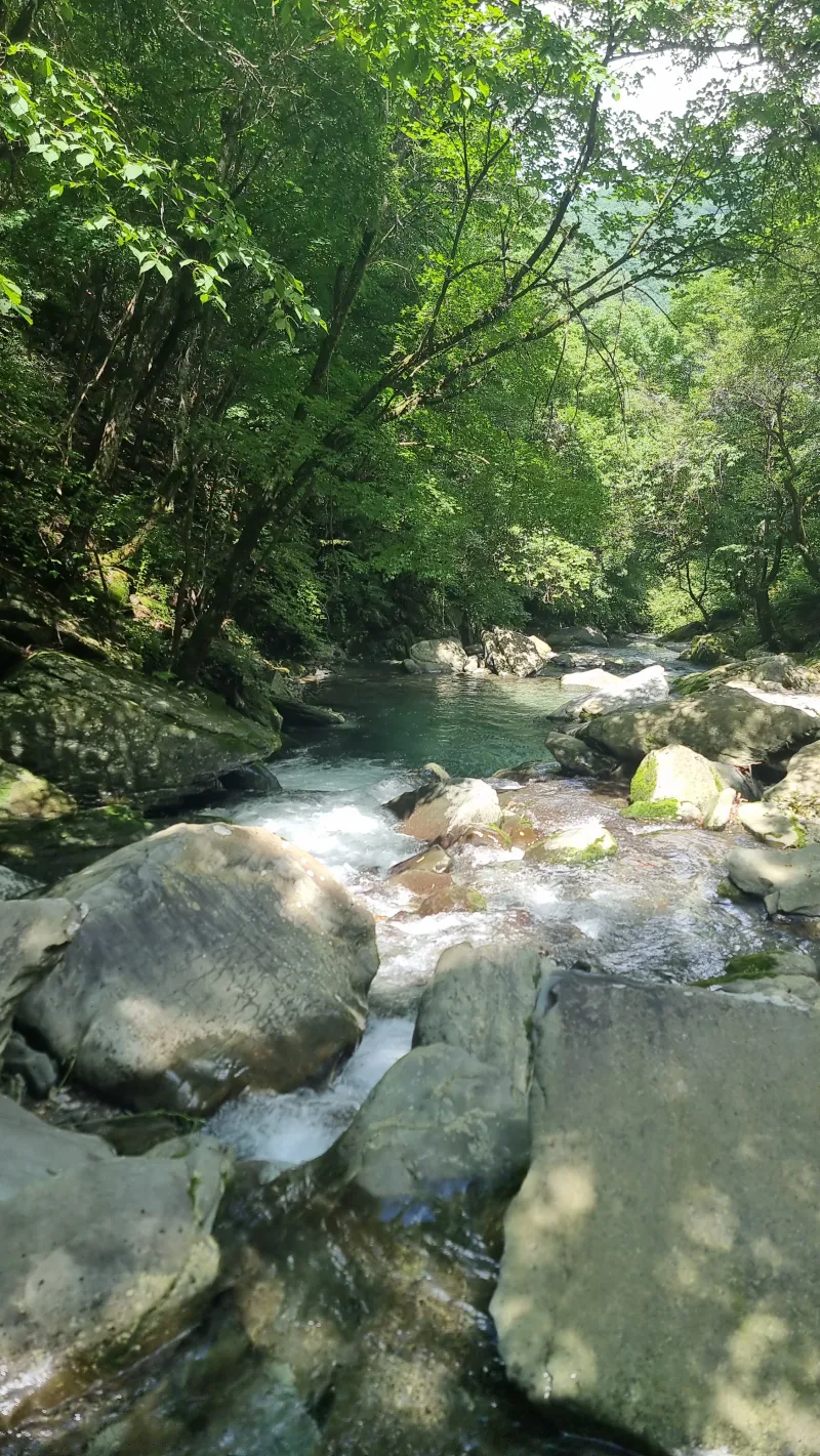 [Pyeongchang][Pyeongchang, Gangwon Province] Detached country house 17