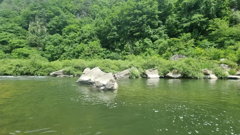 [Pyeongchang][Pyeongchang, Gangwon Province] Detached country house 18