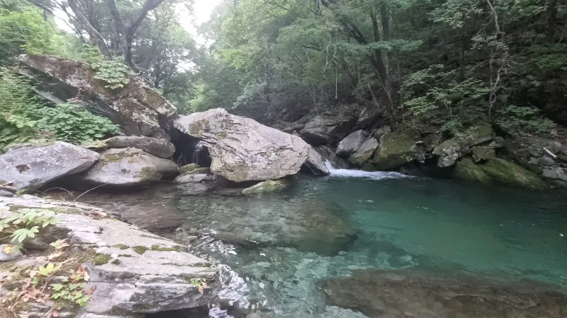 [Pyeongchang][Pyeongchang, Gangwon Province] Detached country house 15