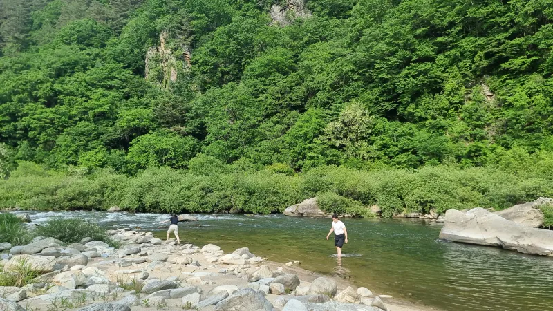 [Pyeongchang][Pyeongchang, Gangwon Province] Detached country house 19