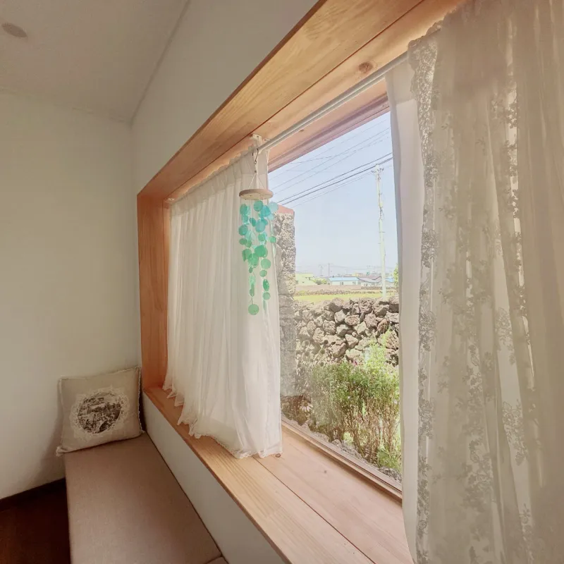 [제주 한림] 제주 늬커리 #겨울바당#올레15코스 3