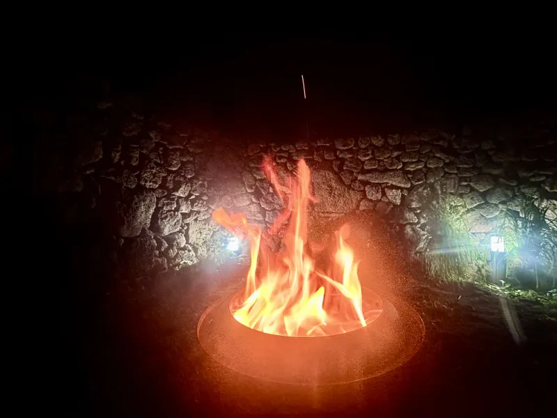 [제주 한림] 제주 늬커리 #겨울바당#올레15코스 21