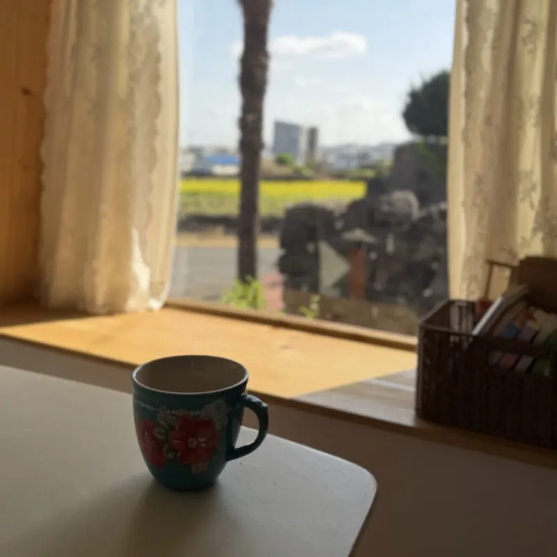 [제주 한림] 제주 늬커리 #겨울바당#올레15코스 11