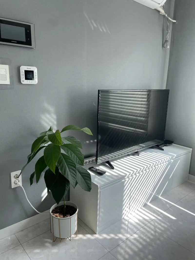 [Gangnam, Seoul] A bright and comfortable home 11