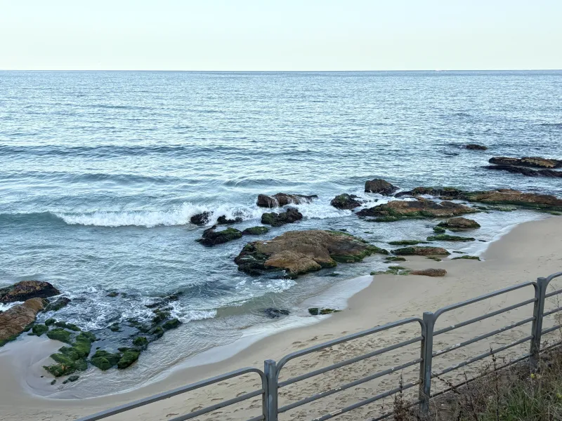 [Donghae] Hapyeong Beach Stone Wall Private House #5-minute walk to the beach #Yard #Attic #Bulmyeong 26