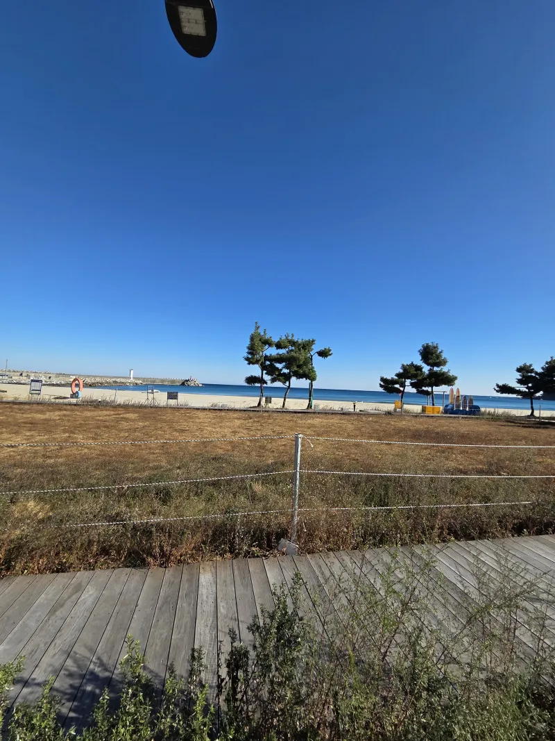 [Yangyang][Yangyang, Gangwon Province] Ocean View Surfing. Healing 12