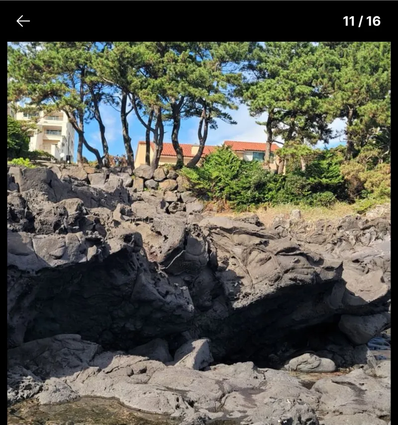[Namwon, Seogwipo] A private house with the sea right in front of you 25