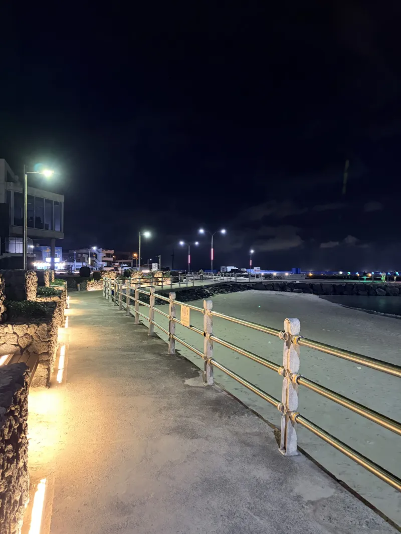 [Gujwa, Jeju][Jeju Gujwa Woljeong-ri] Beachfront detached house, conveniently located 31