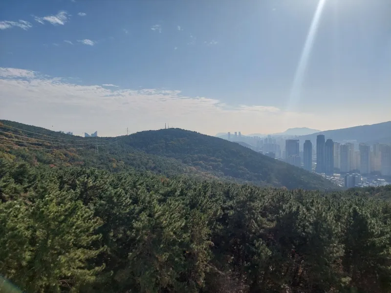 [Haeundae, Busan] Jangsan Mountain Forest Apartment #4 Beds 109