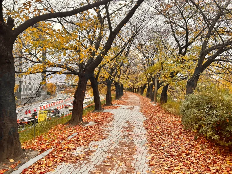[Yeongdeungpo, Seoul] 2 minutes from Yangpyeong Station · Riverview Officetel 14