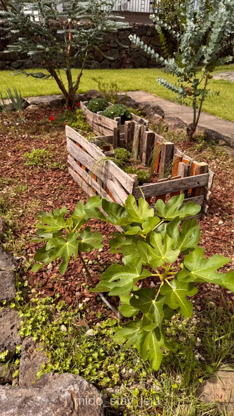 [Aewol, Jeju] Pet-friendly two-room with a quiet lawn 56