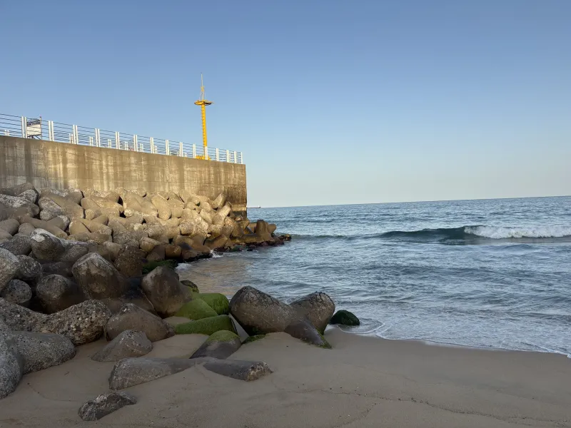 [Donghae] Hapyeong Beach Stone Wall Private House #5-minute walk to the beach #Yard #Attic #Bulmyeong 25
