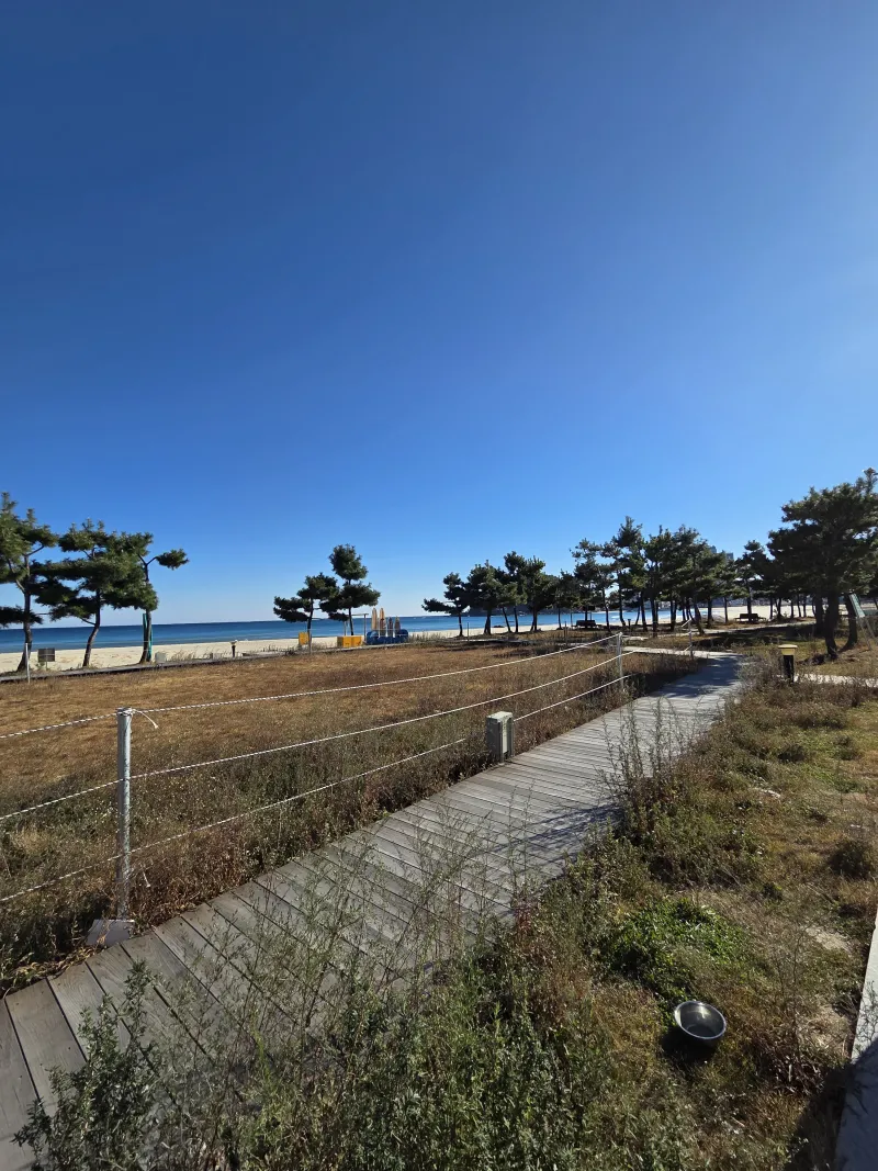 [Yangyang][Yangyang, Gangwon Province] Ocean View Surfing. Healing 11
