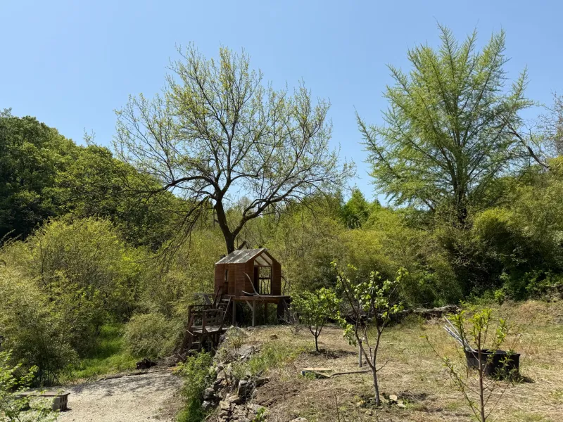 [충남 금산] 인스타 감성이 아닌 흔한 독채 시골집 48