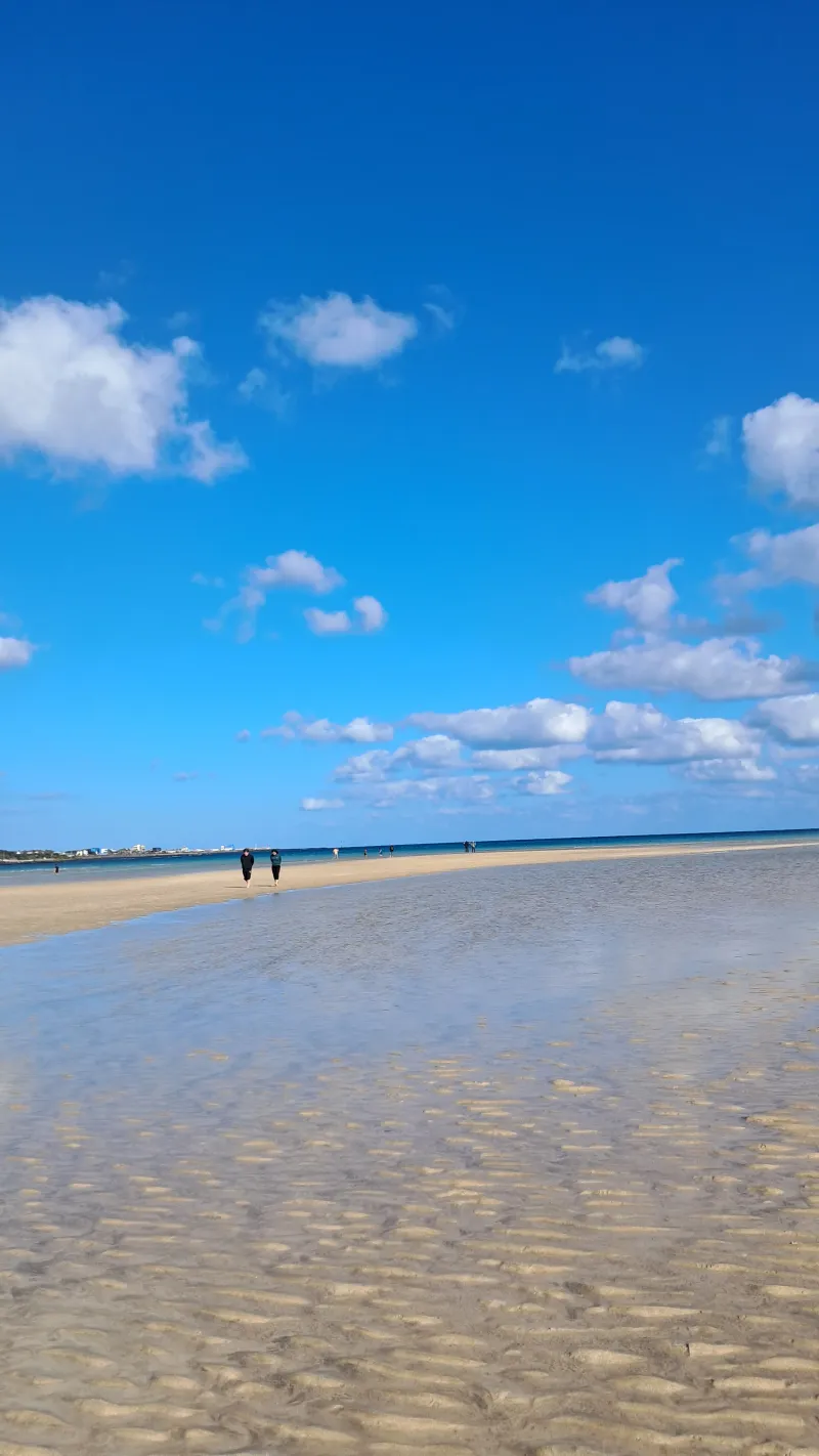 [Pyoseon, Seogwipo] Samseokjip, Sogeummak & Haebi Beach 5 minutes away, convenient transportation, comfortable and safe 26