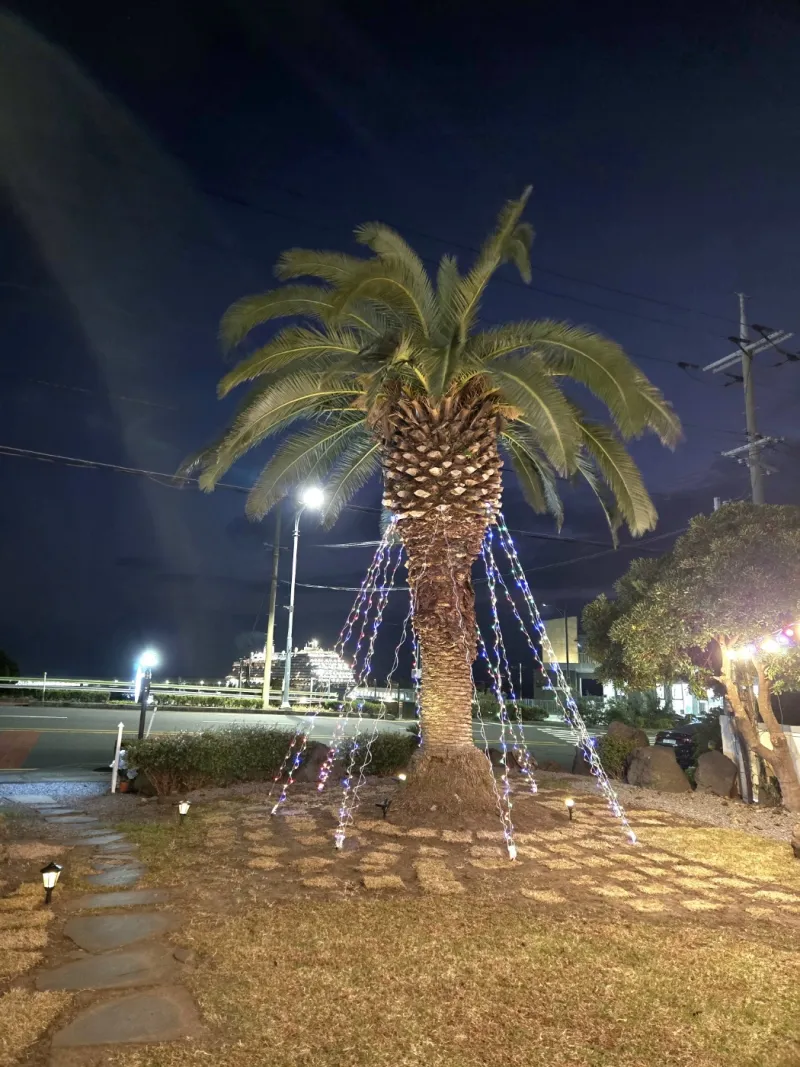[Sanghyo-dong, Seogwipo][NEW_Jejuro_Room 301] Ocean View/Port Front/Sunset/Jungmun 10 minutes/Olle Market 15 minutes/ 24