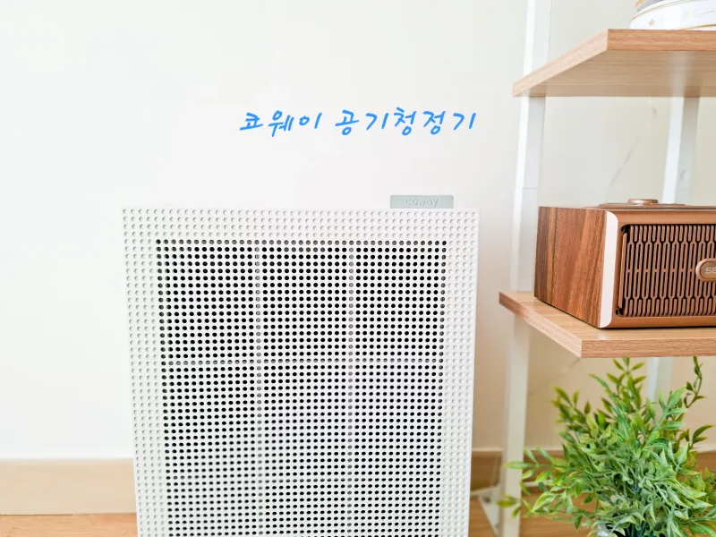 [Mokpo] Mokpo & Muan Pyeonggwangtap Ocean View 9