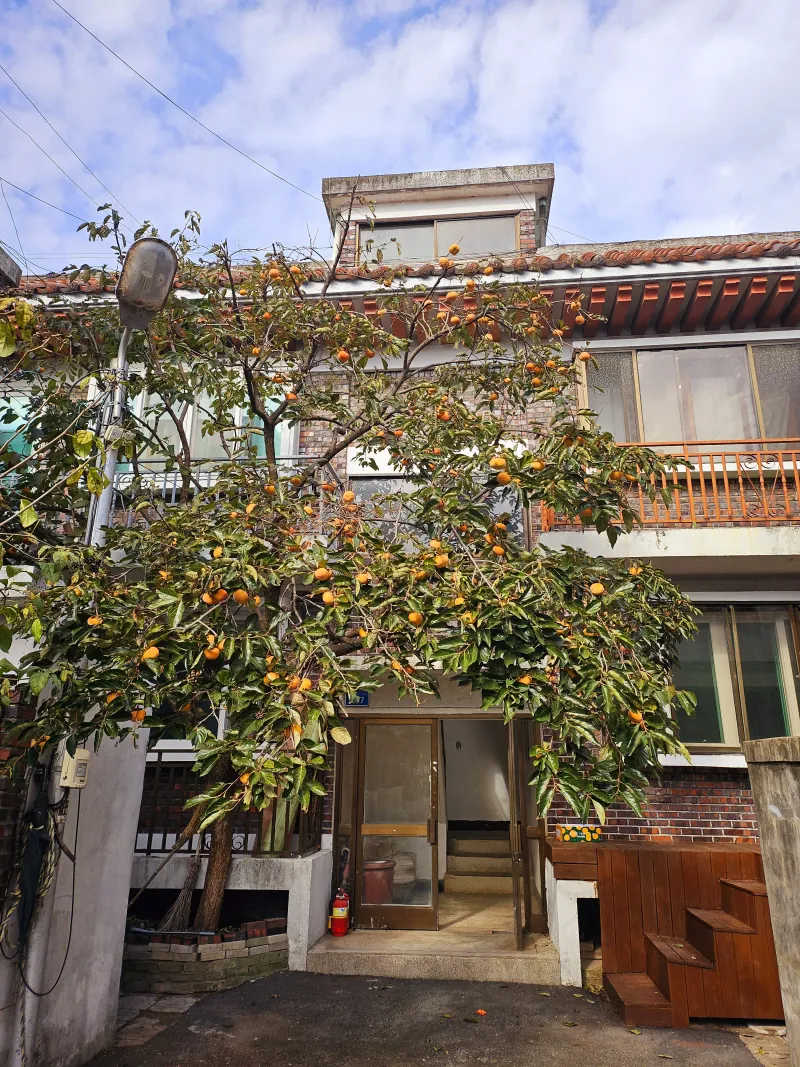 [Gongju][Gongju, South Chungcheong Province] A pretty house near Gongsanseong Fortress 26