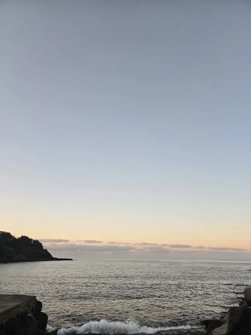 [Jocheon, Jeju] East Bukchon Village Beach 10-second cut #DogsAllowed 47