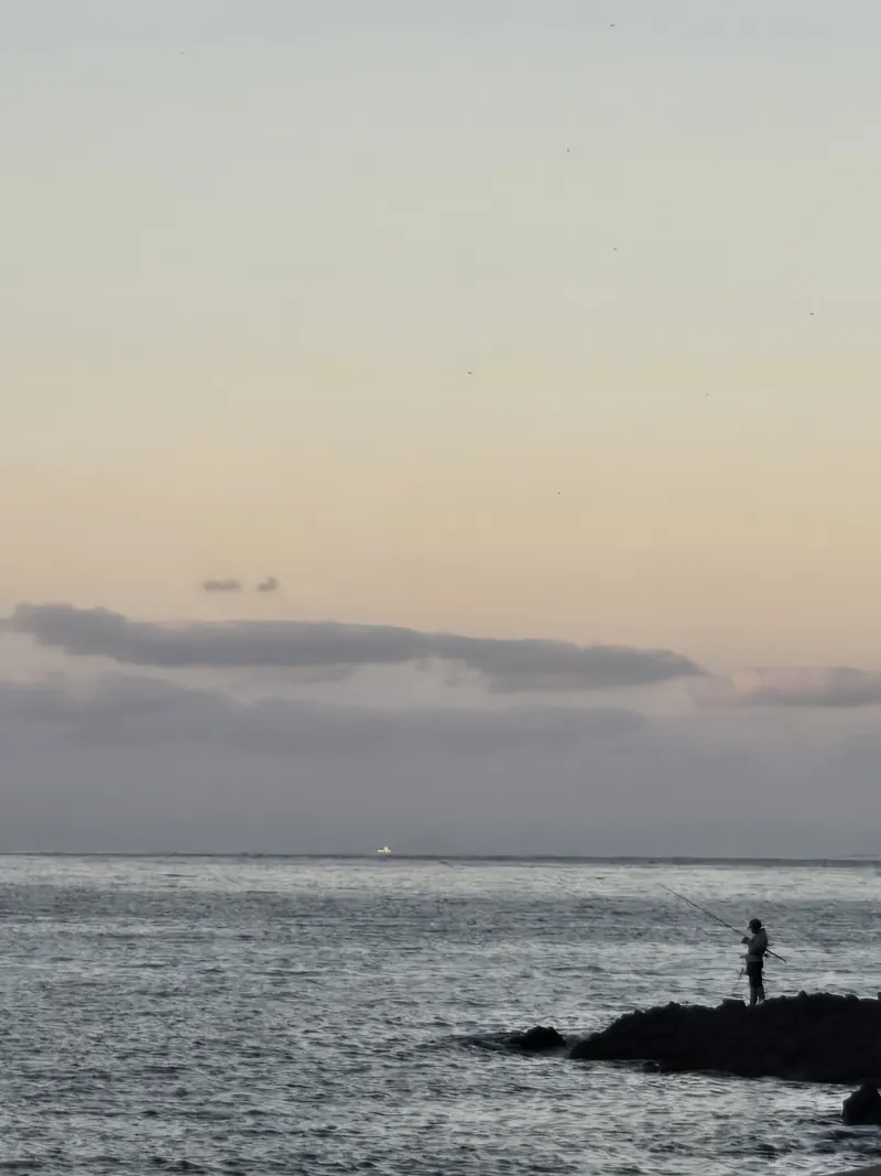 [Jocheon, Jeju] East Bukchon Village Beach 10-second cut #DogsAllowed 46
