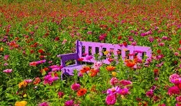 [Pohang] A healing stay on a quiet country road at the foot of Jukjang Mountain 32
