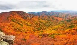 [Pohang] A healing stay on a quiet country road at the foot of Jukjang Mountain 30
