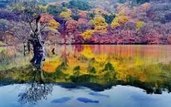 [Pohang] A healing stay on a quiet country road at the foot of Jukjang Mountain 31