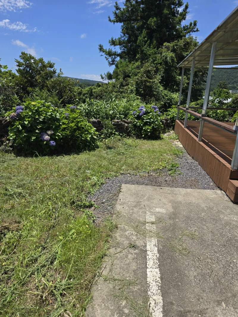 [Pyoseon, Seogwipo] Pyoseonmi Forest, a cozy place in the rural village of Pyoseon with a yard where you can quietly heal. 19