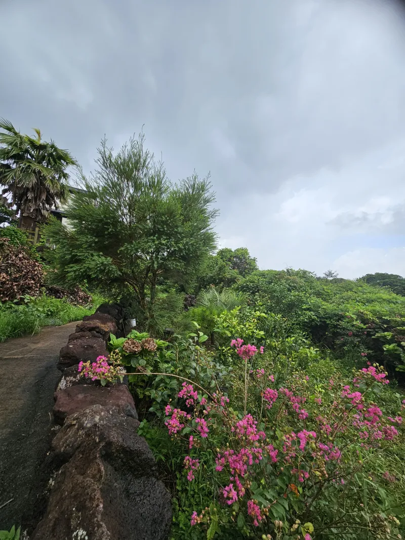 [Pyoseon, Seogwipo] Pyoseonmi Forest, a cozy place in the rural village of Pyoseon with a yard where you can quietly heal. 21