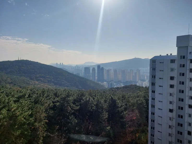 [Haeundae, Busan] Jangsan Mountain Forest Apartment #4 Beds 116
