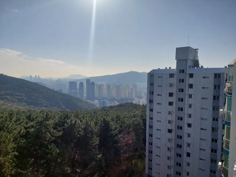 [Haeundae, Busan] Jangsan Mountain Forest Apartment #4 Beds 17