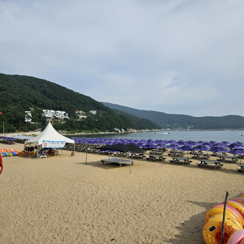 [경남 거제] 거제도 한달살기 좋은 힐링 스팟 17