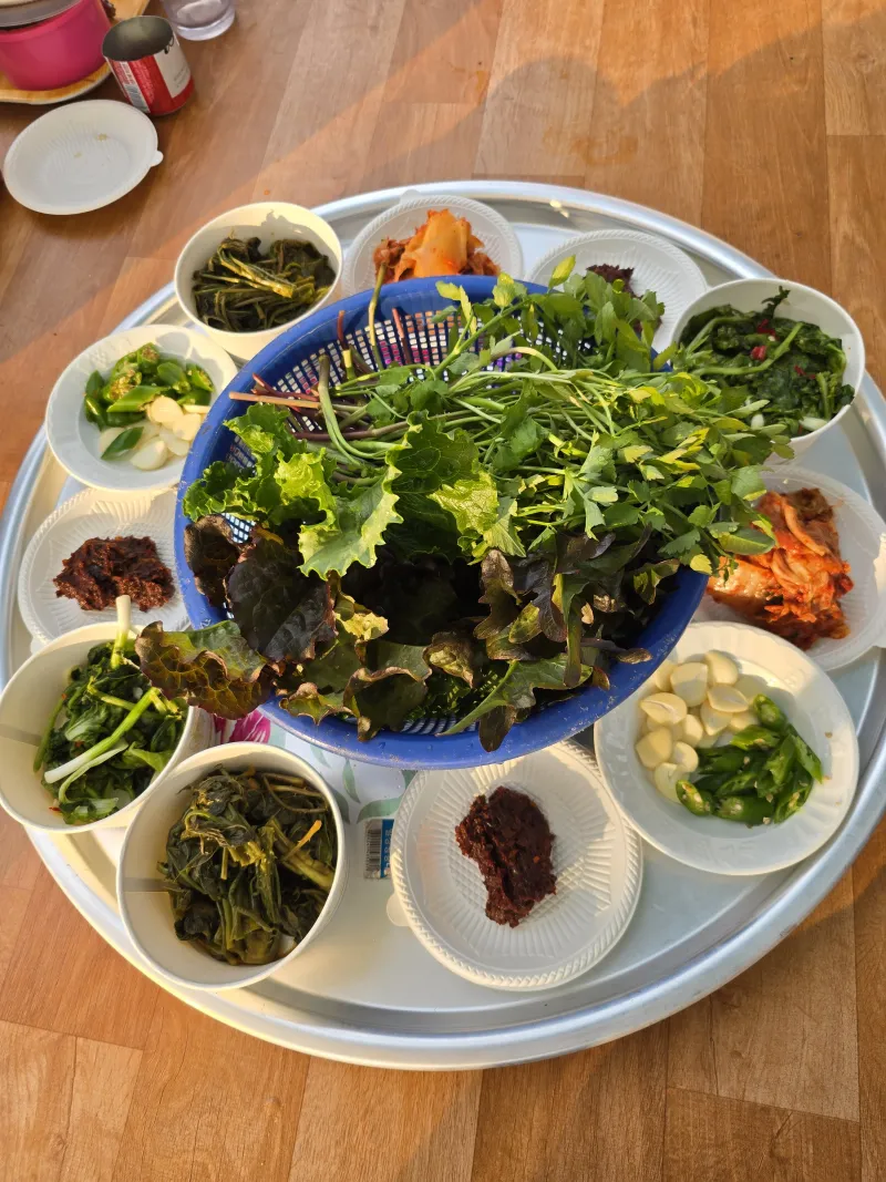 [Yangyang] A private cottage run by a dog-friendly freediver in Namae 1-ri 73
