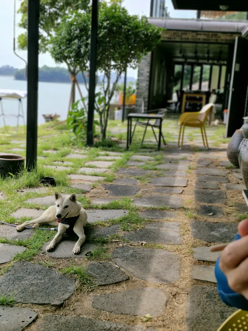 [Muan] A house with a yard overlooking the sea 29