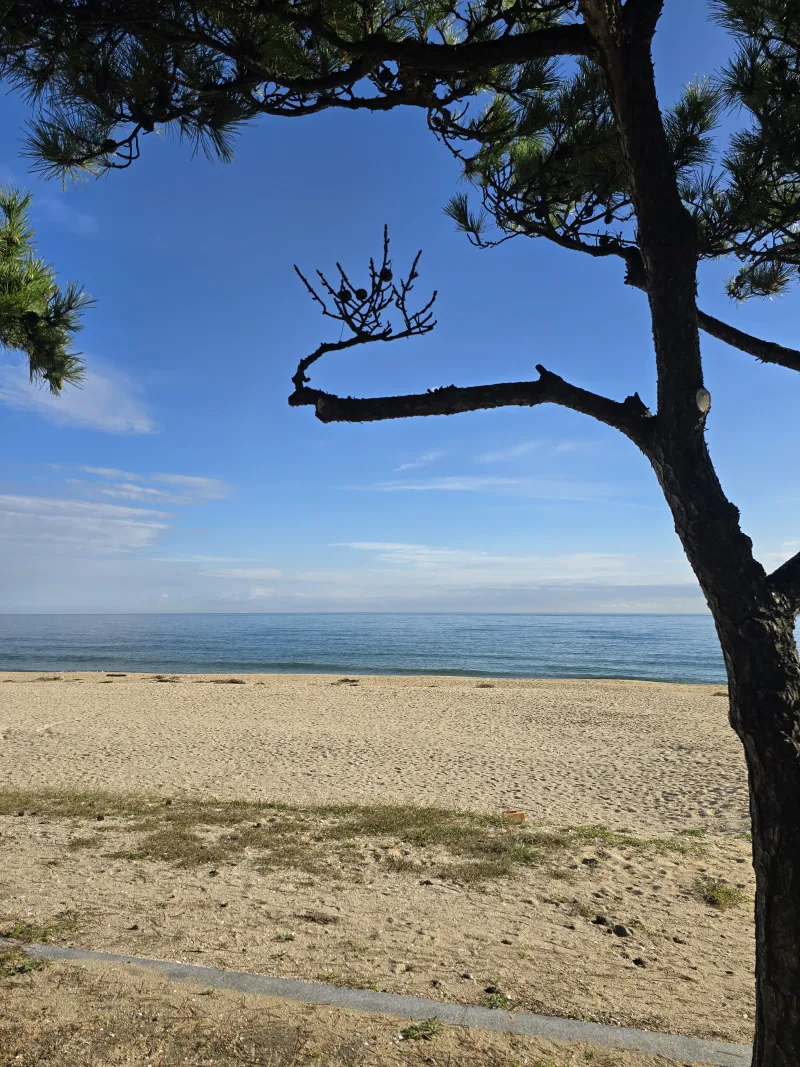 [Yangyang] A private cottage run by a dog-friendly freediver in Namae 1-ri 76