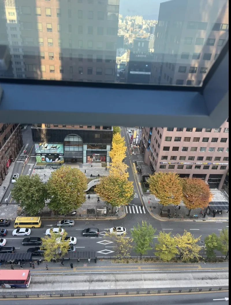 [Seocho, Seoul] 20 seconds from Gangnam Station, Fully Furnished Large Two-Bedroom High Floor City View! [One-Week Discount] 11