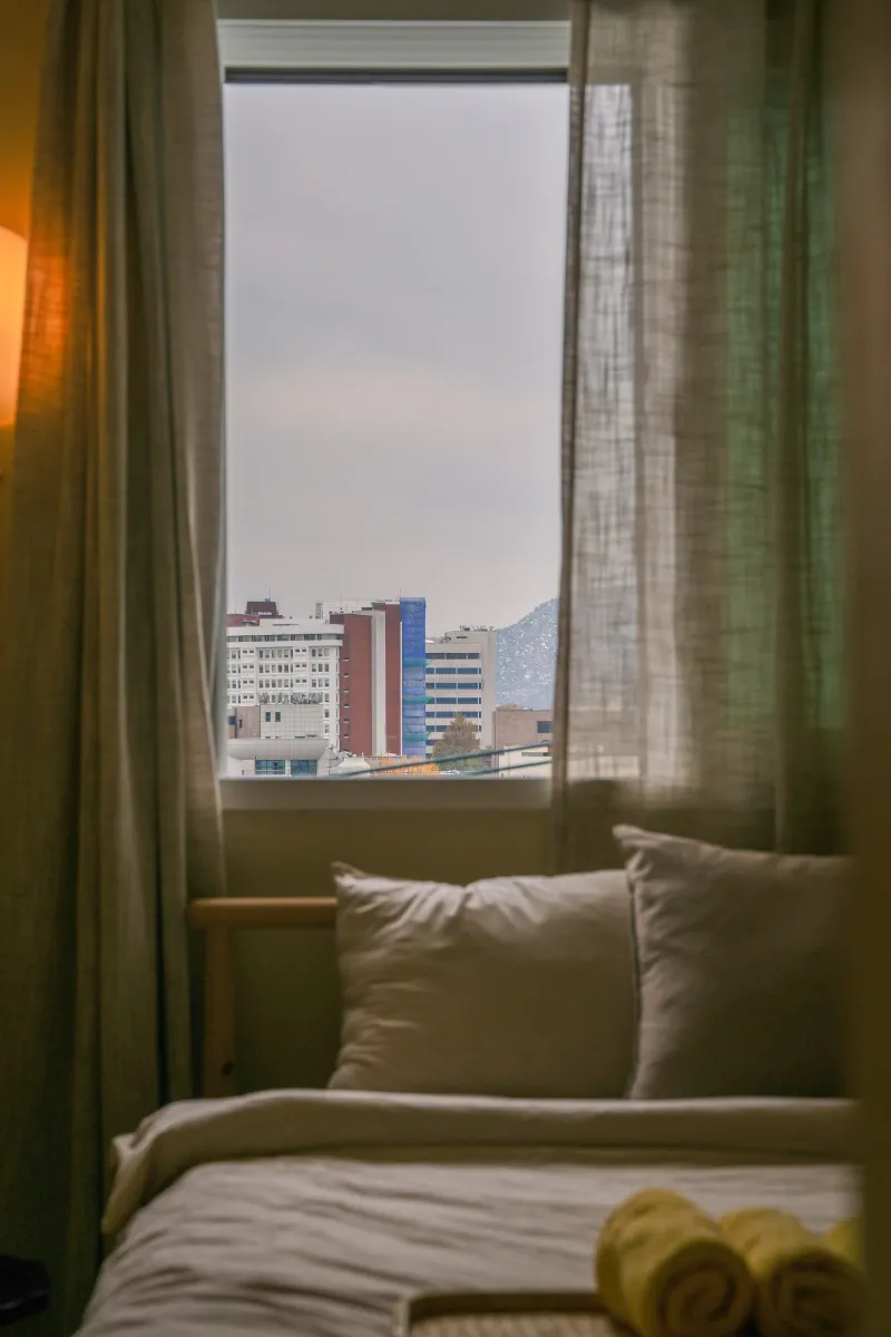 [Jongno, Seoul] 1-minute walk from Naksan Park, 10-minute walk from Seoul National University Hospital and Hyehwa Station #Dogs 29