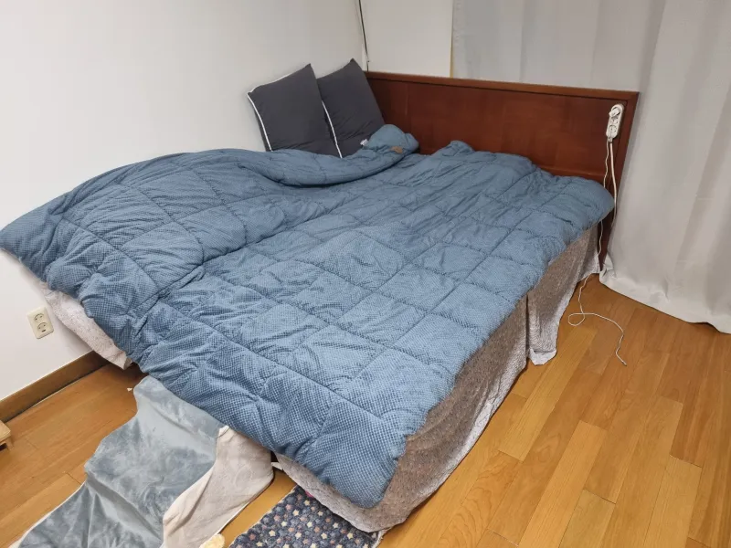 [Gangnam, Seoul] Pet-friendly villa in Yeoksam-dong 2