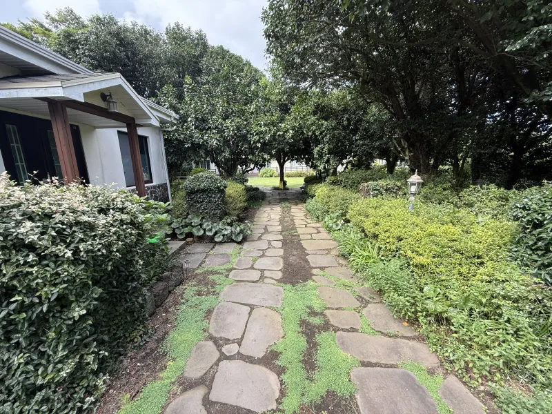 [Namwon, Seogwipo] #Wide lawn #Healing camellia 14