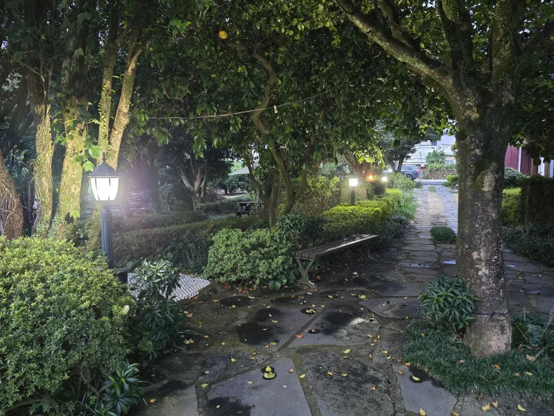 [Namwon, Seogwipo] #Wide lawn #Healing camellia 28