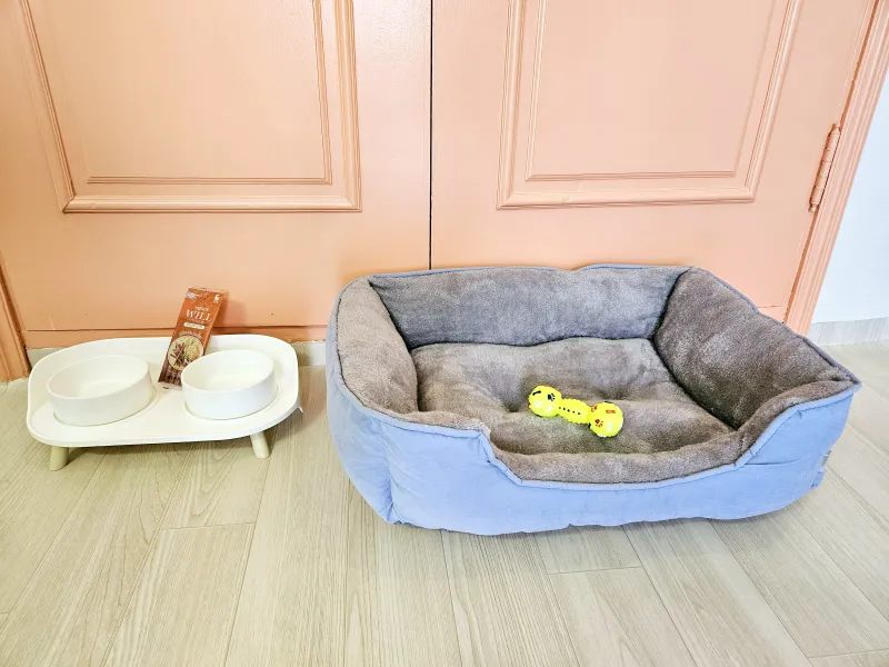 [Sokcho][Sokcho, Gangwon Province] #SokchoBeach #PetsAllowed #CleanAccommodation 41