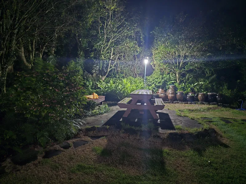 [Namwon, Seogwipo] #Wide lawn #Healing camellia 25