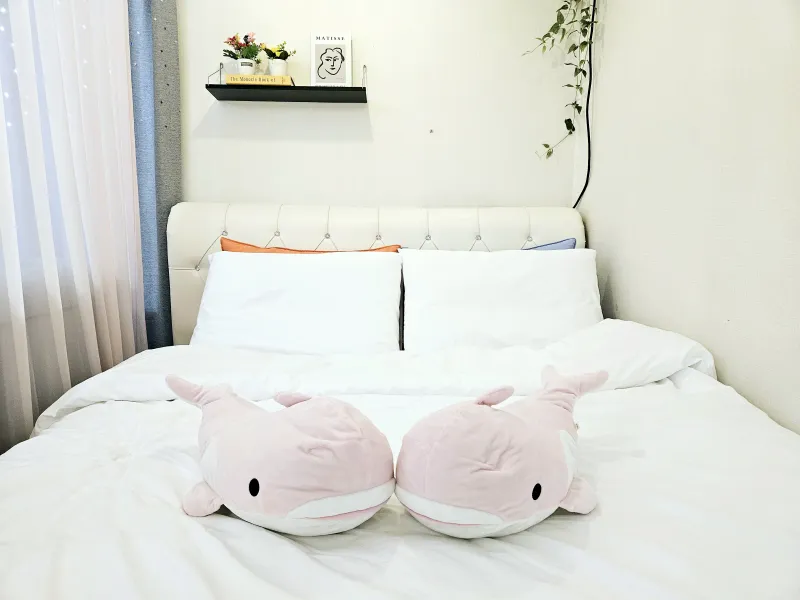 [Sokcho][Sokcho, Gangwon Province] #SokchoBeach #PetsAllowed #CleanAccommodation 6