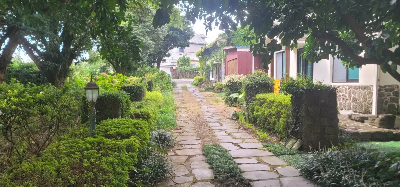 [Namwon, Seogwipo] #Wide lawn #Healing camellia 22