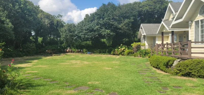 [Namwon, Seogwipo] #Wide lawn #Healing camellia 21