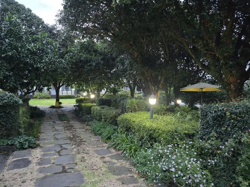 [Namwon, Seogwipo] #Wide lawn #Healing camellia 29